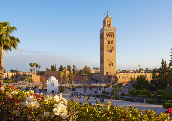 MAROC | Combiné MAROC | Combiné