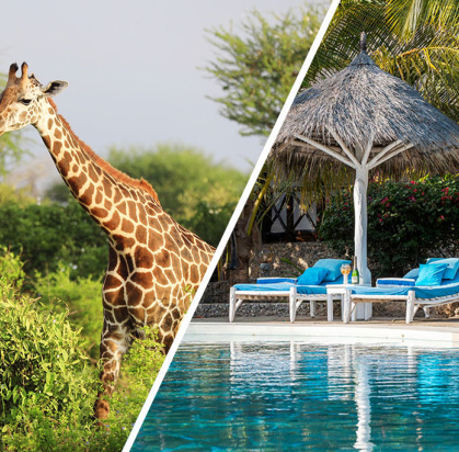 Combiné Exploreans Malaika Villas & Beach Club & Safari 2 nuits dans le parc national de Tsavo, Séjour Kenya par Ôvoyages Combiné Exploreans Malaika Villas & Beach Club & Safari 2 nuits dans le parc national de Tsavo, Séjour Kenya par Ôvoyages