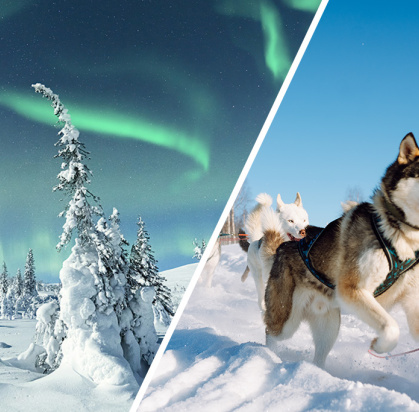 Ôclub Experience Arctic Holiday Katinkulta (jusqu’à 5 activités immersives incluses), Séjour Finlande, Vuokatti par Ôvoyages Ôclub Experience Arctic Holiday Katinkulta (jusqu’à 5 activités immersives incluses), Séjour Finlande, Vuokatti par Ôvoyages