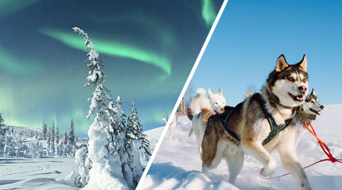 Ôclub Experience Arctic Holiday Katinkulta (jusqu’à 5 activités immersives incluses), Séjour Finlande, Vuokatti par Ôvoyages Ôclub Experience Arctic Holiday Katinkulta (jusqu’à 5 activités immersives incluses), Séjour Finlande, Vuokatti par Ôvoyages