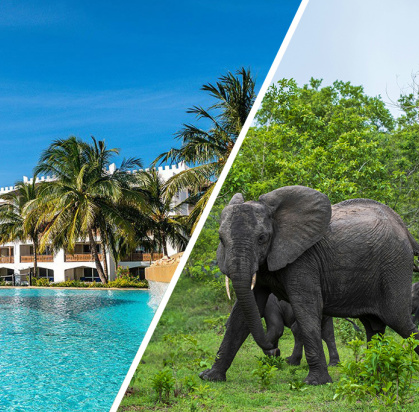 Ôcombiné - Royal Zanzibar 5* & safari 2 nuits Selous, Séjour Tanzanie, Zanzibar par Ôvoyages Ôcombiné - Royal Zanzibar 5* & safari 2 nuits Selous, Séjour Tanzanie, Zanzibar par Ôvoyages