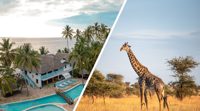 Combiné Jaz Adonia Beach Resort 4* & Safari 2 nuits dans la réserve de Selous en avion, Séjour Tanzanie, Zanzibar par Ôvoyages Combiné Jaz Adonia Beach Resort 4* & Safari 2 nuits dans la réserve de Selous en avion, Séjour Tanzanie, Zanzibar par Ôvoyages