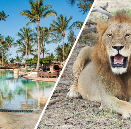 Combiné Jaz Amaluna 4* Adult Only +16 & Safari 2 nuits dans la réserve de Selous en avion, Combiné Tanzanie, Zanzibar par Ôvoyages Combiné Jaz Amaluna 4* Adult Only +16 & Safari 2 nuits dans la réserve de Selous en avion, Combiné Tanzanie, Zanzibar par Ôvoyages