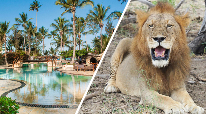 Combiné Jaz Amaluna 4* Adult Only +16 & Safari 2 nuits dans la réserve de Selous en avion, Combiné Tanzanie, Zanzibar par Ôvoyages Combiné Jaz Amaluna 4* Adult Only +16 & Safari 2 nuits dans la réserve de Selous en avion, Combiné Tanzanie, Zanzibar par Ôvoyages