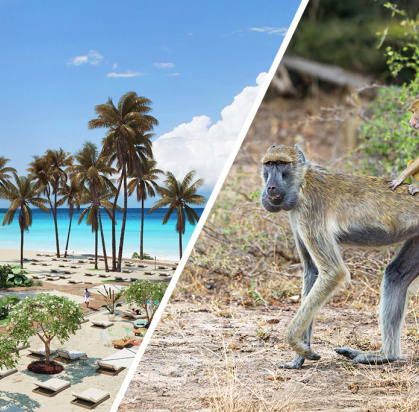 Ôcombiné - Jaz Aurora Beach 5* & safari 2 nuits Selous, Séjour Tanzanie, Zanzibar par Ôvoyages Ôcombiné - Jaz Aurora Beach 5* & safari 2 nuits Selous, Séjour Tanzanie, Zanzibar par Ôvoyages