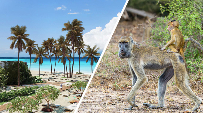 Ôcombiné - Jaz Aurora Beach 5* & safari 2 nuits Selous, Séjour Tanzanie, Zanzibar par Ôvoyages Ôcombiné - Jaz Aurora Beach 5* & safari 2 nuits Selous, Séjour Tanzanie, Zanzibar par Ôvoyages