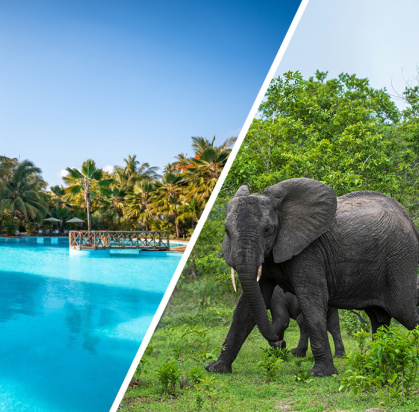 Combiné White Paradise 4* + Safari 2 nuits dans la réserve de Selous en avion, Combiné Tanzanie, Zanzibar par Ôvoyages Combiné White Paradise 4* + Safari 2 nuits dans la réserve de Selous en avion, Combiné Tanzanie, Zanzibar par Ôvoyages
