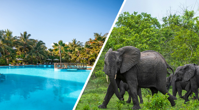 Combiné White Paradise 4* + Safari 2 nuits dans la réserve de Selous en avion, Combiné Tanzanie, Zanzibar par Ôvoyages Combiné White Paradise 4* + Safari 2 nuits dans la réserve de Selous en avion, Combiné Tanzanie, Zanzibar par Ôvoyages