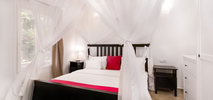 Combiné White Paradise 4* + Safari 2 nuits dans la réserve de Selous en avion, Combiné Tanzanie, Zanzibar par Ôvoyages Combiné White Paradise 4* + Safari 2 nuits dans la réserve de Selous en avion, Combiné Tanzanie, Zanzibar par Ôvoyages