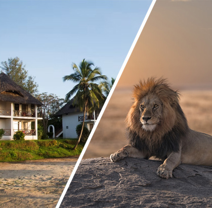 Hôtel Antonio Beach Tree House & Spa 4* + Safari 2 nuits dans la réserve de Selous en avion, Combiné Tanzanie, Zanzibar par Ôvoyages Hôtel Antonio Beach Tree House & Spa 4* + Safari 2 nuits dans la réserve de Selous en avion, Combiné Tanzanie, Zanzibar par Ôvoyages