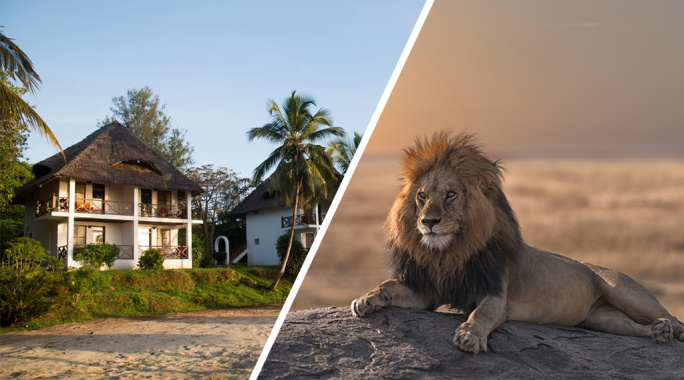 Hôtel Antonio Beach Tree House & Spa 4* + Safari 2 nuits dans la réserve de Selous en avion, Combiné Tanzanie, Zanzibar par Ôvoyages Hôtel Antonio Beach Tree House & Spa 4* + Safari 2 nuits dans la réserve de Selous en avion, Combiné Tanzanie, Zanzibar par Ôvoyages