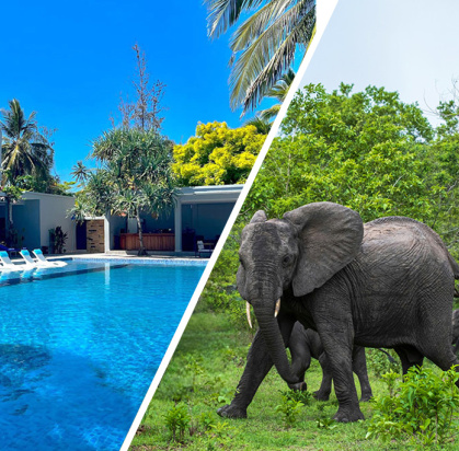 Combiné Matemwe Sands Beach Resort 5* + Safari 2 nuits dans la réserve de Selous en avion, Combiné Tanzanie, Zanzibar par Ôvoyages Combiné Matemwe Sands Beach Resort 5* + Safari 2 nuits dans la réserve de Selous en avion, Combiné Tanzanie, Zanzibar par Ôvoyages