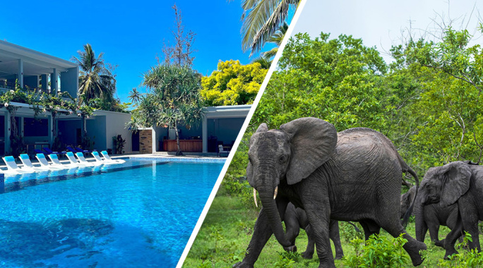 Combiné Matemwe Sands Beach Resort 5* + Safari 2 nuits dans la réserve de Selous en avion, Combiné Tanzanie, Zanzibar par Ôvoyages Combiné Matemwe Sands Beach Resort 5* + Safari 2 nuits dans la réserve de Selous en avion, Combiné Tanzanie, Zanzibar par Ôvoyages