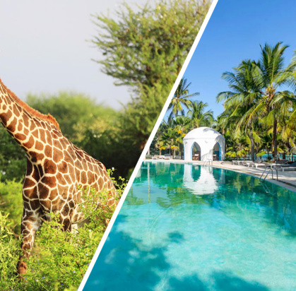 Combiné Circuit Amboseli, Tsavo Ouest et Est en 5 nuits + Ôclub Experience Sun Palm Beach Hotel & Resort 4*, Séjour Kenya par Ôvoyages Combiné Circuit Amboseli, Tsavo Ouest et Est en 5 nuits + Ôclub Experience Sun Palm Beach Hotel & Resort 4*, Séjour Kenya par Ôvoyages