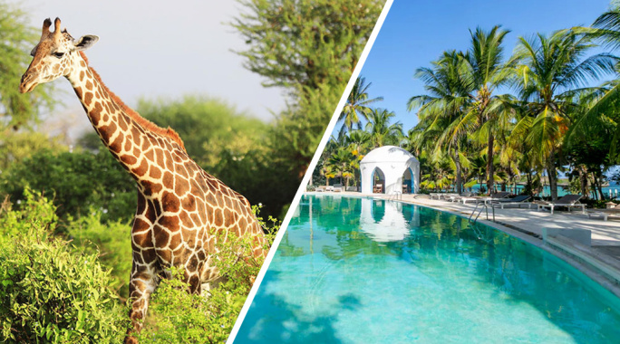 Combiné Circuit Amboseli, Tsavo Ouest et Est en 5 nuits + Ôclub Experience Sun Palm Beach Hotel & Resort 4*, Séjour Kenya par Ôvoyages Combiné Circuit Amboseli, Tsavo Ouest et Est en 5 nuits + Ôclub Experience Sun Palm Beach Hotel & Resort 4*, Séjour Kenya par Ôvoyages