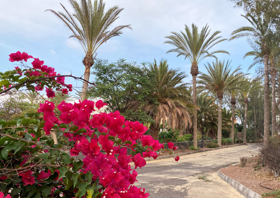 Smart club Drago Park 4* Smart club Drago Park 4*