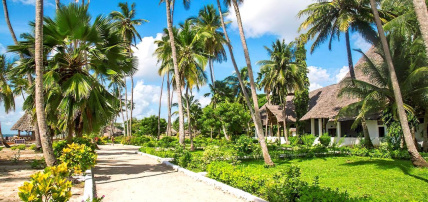Hôtel Antonio Beach Tree House & Spa 4* + Safari 1 nuit, Combiné Tanzanie, Zanzibar par Ôvoyages Hôtel Antonio Beach Tree House & Spa 4* + Safari 1 nuit, Combiné Tanzanie, Zanzibar par Ôvoyages