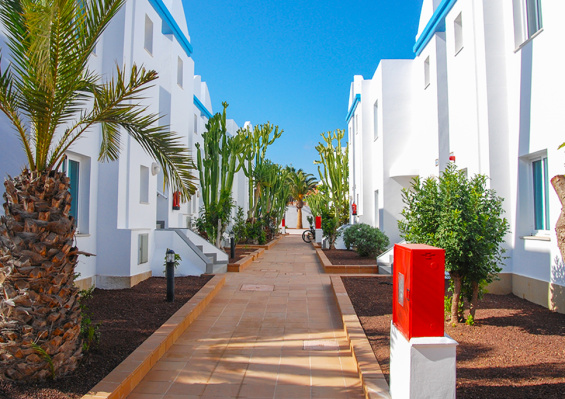 Hôtel Arena Beach 3* Hôtel Arena Beach 3*