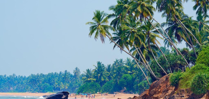 Combiné Balade Sri Lankaise en privatif 4* & Ôclub Select Sentido Heritance Negombo 5*, Combiné Sri Lanka par Ôvoyages Combiné Balade Sri Lankaise en privatif 4* & Ôclub Select Sentido Heritance Negombo 5*, Combiné Sri Lanka par Ôvoyages