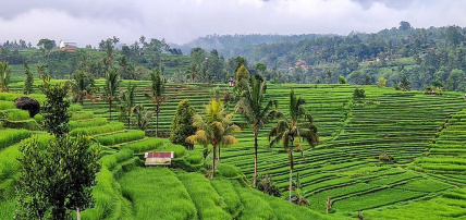 Combiné Charmes Balinais & Ôclub Select Merusaka Nusa Dua 5*, Circuit Indonésie, Bali par Ôvoyages Combiné Charmes Balinais & Ôclub Select Merusaka Nusa Dua 5*, Circuit Indonésie, Bali par Ôvoyages