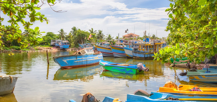 Circuit Les Incontournables du Sri Lanka & extension Maldives Dusit D2 Feydhoo 5* by Ôvoyages, Combiné Maldives par Ôvoyages Circuit Les Incontournables du Sri Lanka & extension Maldives Dusit D2 Feydhoo 5* by Ôvoyages, Combiné Maldives par Ôvoyages
