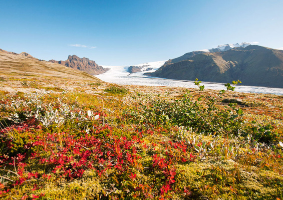 City Break à Reykjavik - Aventure & Soleil d'Islande (excursions incluses) City Break à Reykjavik - Aventure & Soleil d'Islande (excursions incluses)