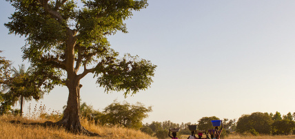 Combiné Circuit Balade Sénégalaise 3* & Ôclub Experience African Village Bougainvillées 3*, Circuit Sénégal par Ôvoyages Combiné Circuit Balade Sénégalaise 3* & Ôclub Experience African Village Bougainvillées 3*, Circuit Sénégal par Ôvoyages