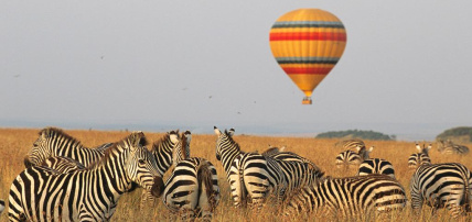 Combiné Safari inoubliable au Kenya : Masai Mara, Naivasha & Amboseli & Ôclub Experience Papillon Lagoon Reef 4*, Combiné Kenya par Ôvoyages Combiné Safari inoubliable au Kenya : Masai Mara, Naivasha & Amboseli & Ôclub Experience Papillon Lagoon Reef 4*, Combiné Kenya par Ôvoyages