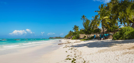 Combiné Ôclub Zen Pearl Beach Resort Zanzibar 4* et Ôclub Zen Sansi Kendwa Beach Resort 4*, Séjour Tanzanie, Zanzibar par Ôvoyages Combiné Ôclub Zen Pearl Beach Resort Zanzibar 4* et Ôclub Zen Sansi Kendwa Beach Resort 4*, Séjour Tanzanie, Zanzibar par Ôvoyages