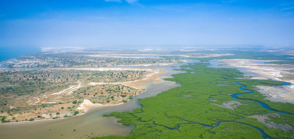 Combiné Circuit Découverte de la Mangrove 3* & Ôclub Experience African Village Bougainvillées 3*, Combiné Sénégal par Ôvoyages Combiné Circuit Découverte de la Mangrove 3* & Ôclub Experience African Village Bougainvillées 3*, Combiné Sénégal par Ôvoyages
