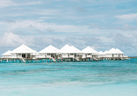Hôtel Diamonds Thudufushi Maldives Resort & Spa 5* Hôtel Diamonds Thudufushi Maldives Resort & Spa 5* - photo 3