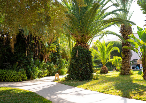 Eden Yasmine Resort & Spa 4* Eden Yasmine Resort & Spa 4*