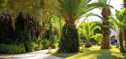 Eden Yasmine Resort & Spa 4*, Séjour Tunisie, Tunis par Ôvoyages Eden Yasmine Resort & Spa 4*, Séjour Tunisie, Tunis par Ôvoyages