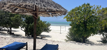 Combiné Ôclub Zen Pearl Beach Resort 4* & Safari 1 nuit en avion, Combiné Tanzanie, Zanzibar par Ôvoyages Combiné Ôclub Zen Pearl Beach Resort 4* & Safari 1 nuit en avion, Combiné Tanzanie, Zanzibar par Ôvoyages