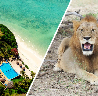 Ôclub Zen Pearl Beach Resort Zanzibar 4* + Safari 2 nuits, Combiné Tanzanie, Zanzibar par Ôvoyages Ôclub Zen Pearl Beach Resort Zanzibar 4* + Safari 2 nuits, Combiné Tanzanie, Zanzibar par Ôvoyages