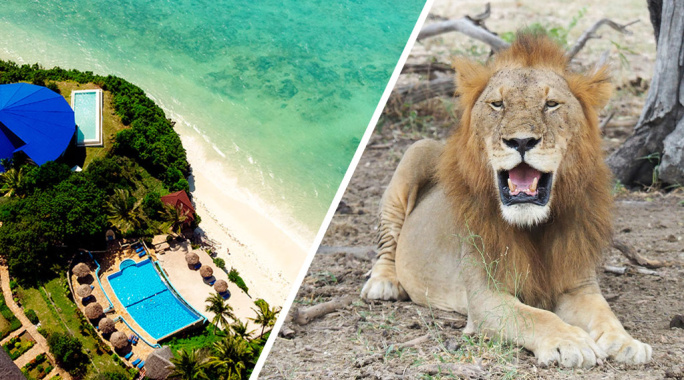 Ôclub Zen Pearl Beach Resort Zanzibar 4* + Safari 2 nuits, Combiné Tanzanie, Zanzibar par Ôvoyages Ôclub Zen Pearl Beach Resort Zanzibar 4* + Safari 2 nuits, Combiné Tanzanie, Zanzibar par Ôvoyages