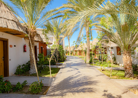 Ôclub Experience Panorama Bungalows Resort El Gouna 4* Ôclub Experience Panorama Bungalows Resort El Gouna 4* - photo 3