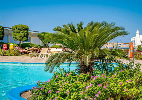 Smart club Magic Beach Hotel 4* Smart club Magic Beach Hotel 4* - photo 4