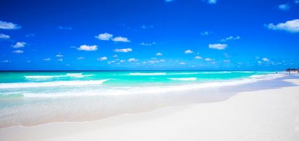 Hôtel Starfish Cuatro Palmas 4* Adult Only +16, Séjour Cuba par Ôvoyages Hôtel Starfish Cuatro Palmas 4* Adult Only +16, Séjour Cuba par Ôvoyages