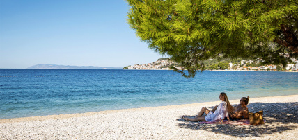 Hôtel TUI Blue Adriatic Beach 4* Adult Only +16 by Ôvoyages, Séjour Croatie, Split par Ôvoyages Hôtel TUI Blue Adriatic Beach 4* Adult Only +16 by Ôvoyages, Séjour Croatie, Split par Ôvoyages