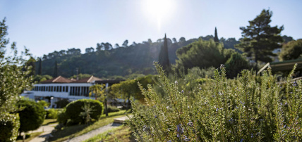 Hôtel TUI Blue Kalamota Island 4* Adult Only +16 by Ôvoyages, Séjour Croatie, Dubrovnik par Ôvoyages Hôtel TUI Blue Kalamota Island 4* Adult Only +16 by Ôvoyages, Séjour Croatie, Dubrovnik par Ôvoyages