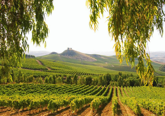 Autotour l'Essentiel de la Sicile 3* Autotour l'Essentiel de la Sicile 3*