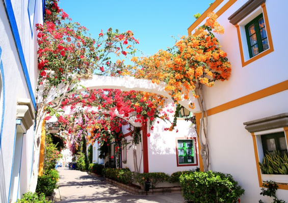 Hôtel LIVVO Koala Garden 4* by Ôvoyages Hôtel LIVVO Koala Garden 4* by Ôvoyages