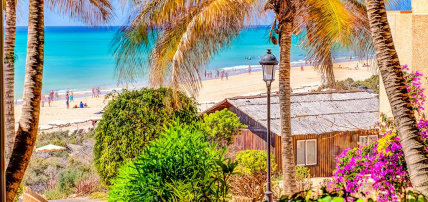 Hôtel SBH Taro Beach 4*, Séjour Espagne & ses îles, Canaries, Fuerteventura par Ôvoyages Hôtel SBH Taro Beach 4*, Séjour Espagne & ses îles, Canaries, Fuerteventura par Ôvoyages