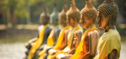 Circuit Balade Sri Lankaise en privatif 4* & dusitD2 Feydhoo Maldives 5* by Ôvoyages, Combiné Maldives par Ôvoyages Circuit Balade Sri Lankaise en privatif 4* & dusitD2 Feydhoo Maldives 5* by Ôvoyages, Combiné Maldives par Ôvoyages