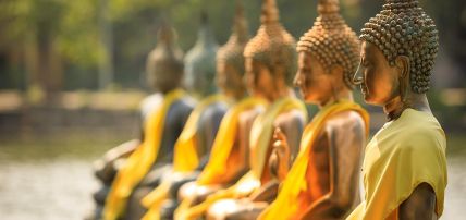 Circuit Privatif Balade Sri Lankaise 4* & Séjour bien-être Ayurvédique, Combiné Sri Lanka par Ôvoyages Circuit Privatif Balade Sri Lankaise 4* & Séjour bien-être Ayurvédique, Combiné Sri Lanka par Ôvoyages