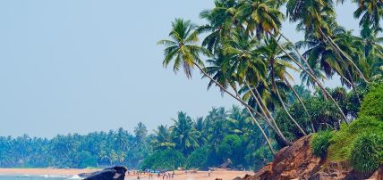 Circuit Privatif Balade Sri Lankaise 4* & Séjour bien-être Ayurvédique, Combiné Sri Lanka par Ôvoyages Circuit Privatif Balade Sri Lankaise 4* & Séjour bien-être Ayurvédique, Combiné Sri Lanka par Ôvoyages
