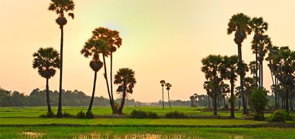 Circuit Les Essentiels du Cambodge 4* & 5*, Circuit Cambodge par Ôvoyages Circuit Les Essentiels du Cambodge 4* & 5*, Circuit Cambodge par Ôvoyages