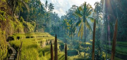 Combiné Charmes Balinais & Ôclub Select Merusaka Nusa Dua 5*, Circuit Indonésie, Bali par Ôvoyages Combiné Charmes Balinais & Ôclub Select Merusaka Nusa Dua 5*, Circuit Indonésie, Bali par Ôvoyages