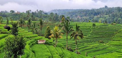 Combiné Charmes Balinais & Ôclub Select Merusaka Nusa Dua 5*, Circuit Indonésie, Bali par Ôvoyages Combiné Charmes Balinais & Ôclub Select Merusaka Nusa Dua 5*, Circuit Indonésie, Bali par Ôvoyages